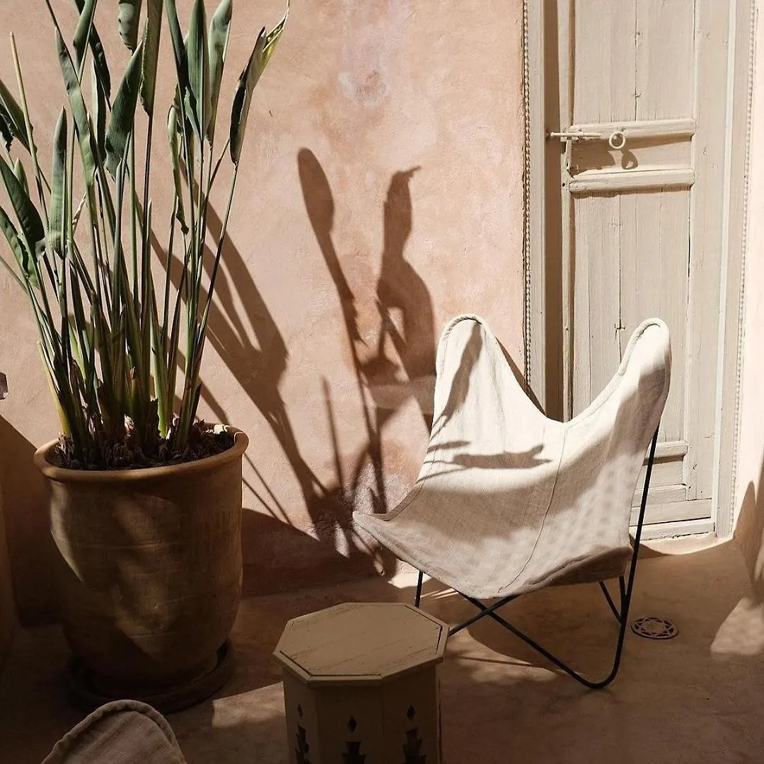 Riad Berbere Marrakech Marrakesh 0*,
